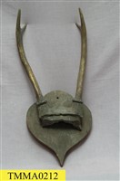 藏品(臺灣水鹿角)的圖片